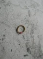 ROSE.webp
