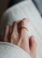 ROSE3.webp