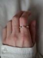 1ring.webp