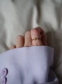 5ring.webp