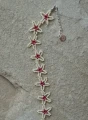 rozgwiazda1.webp