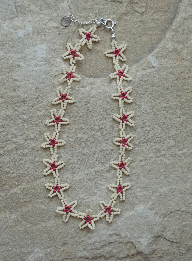  ÉTOILE DE MER